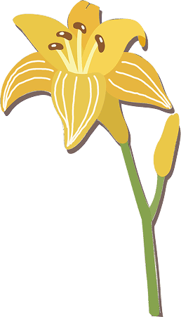 deco
