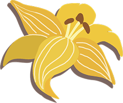 deco