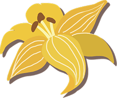 deco