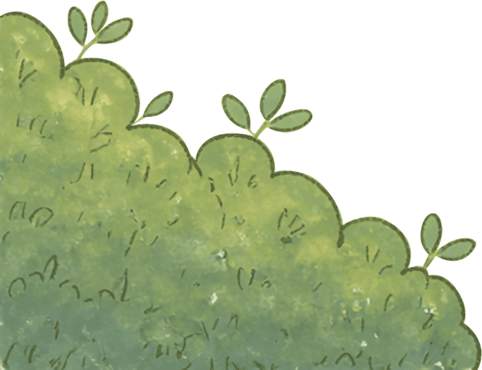 brush